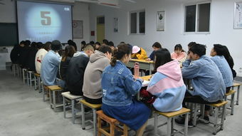 校園文化盛宴 我校團(tuán)委成功舉辦文化藝術(shù)節(jié)系列活動